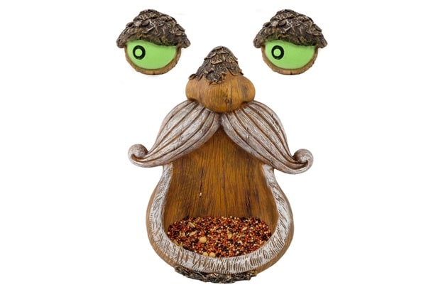 Bird Feeder Ideas