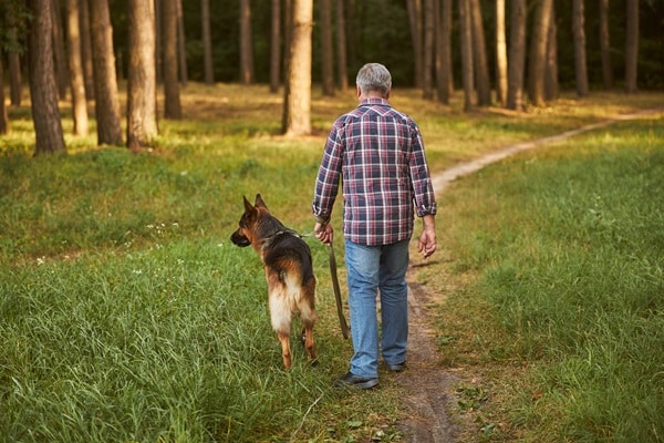 Owning a Pet