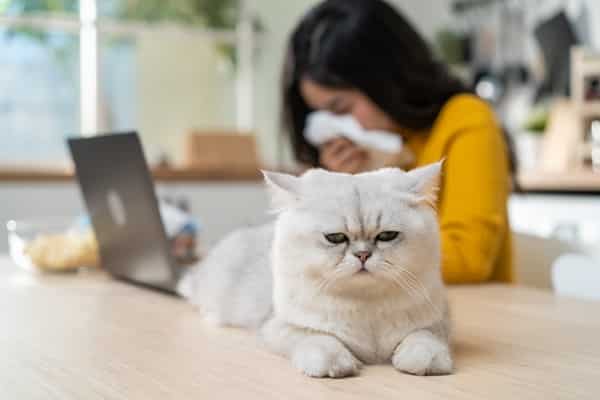 Owning a Pet