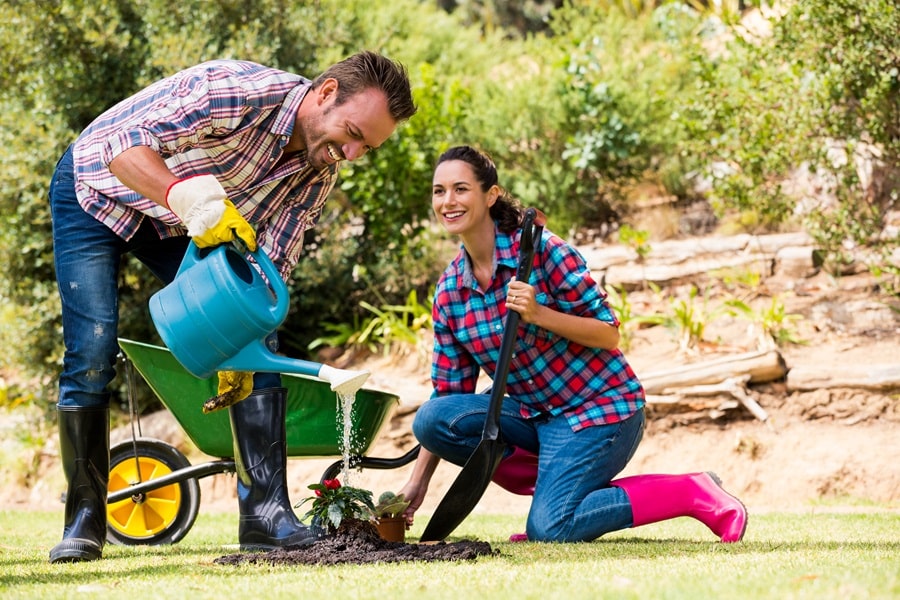 Lawn Care Products