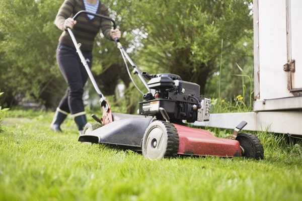 Lawn Care Problems