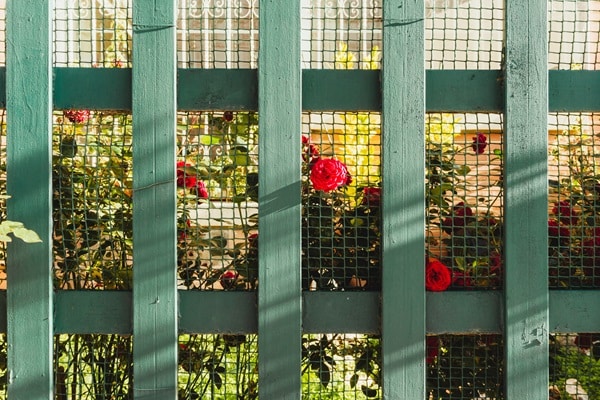 Garden Fence Ideas