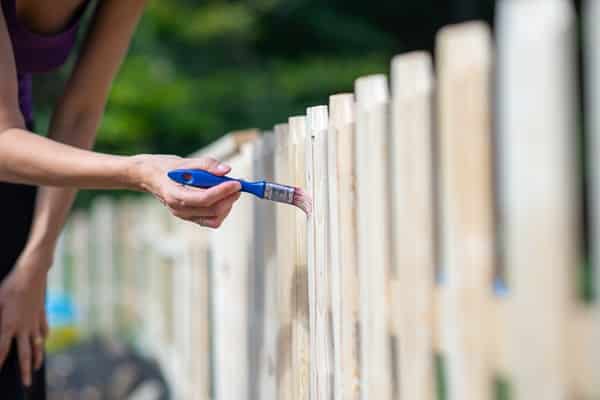 Garden Fence Ideas