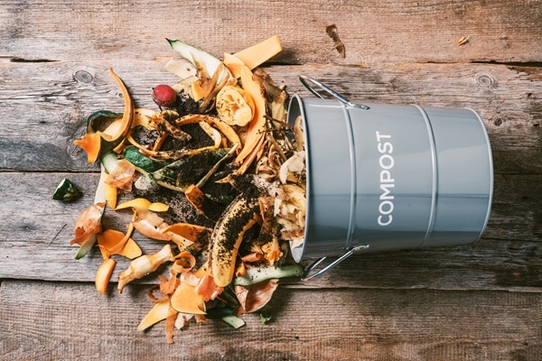 Items To Compost