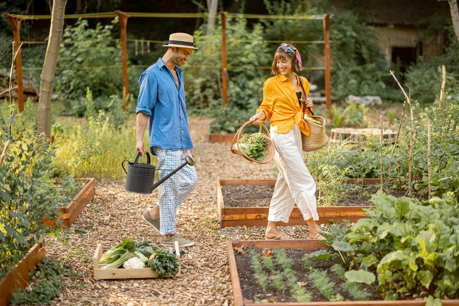 No-Waste Garden