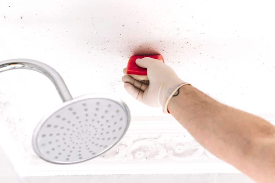 Mold And Mildew