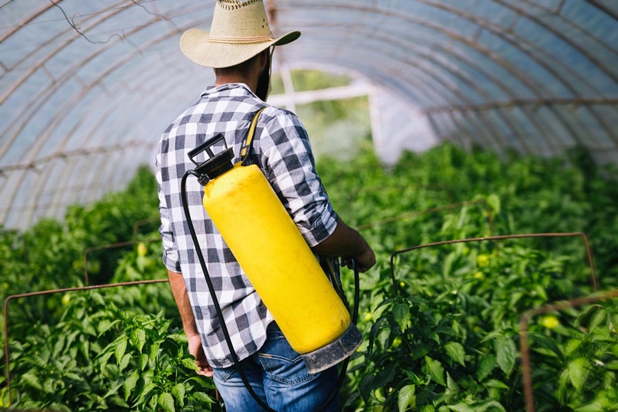 Harmful Pesticide
