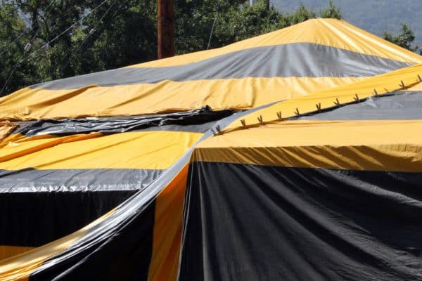 Protect Your Home From Termites