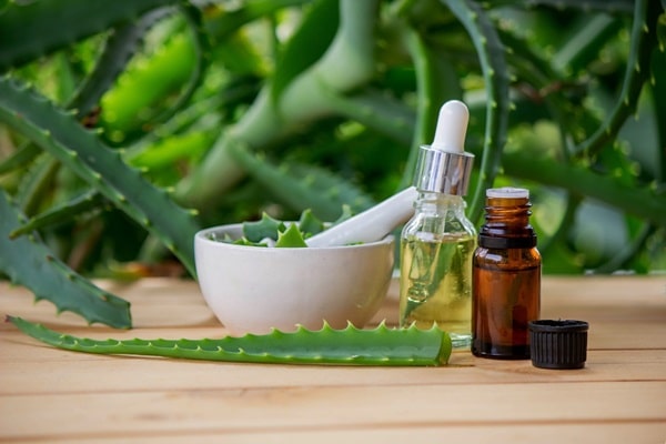 Essential Oil Bug Spray