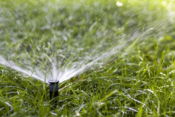 Make Your Lawn