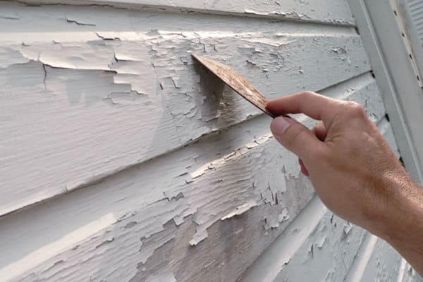 Your House For Panting