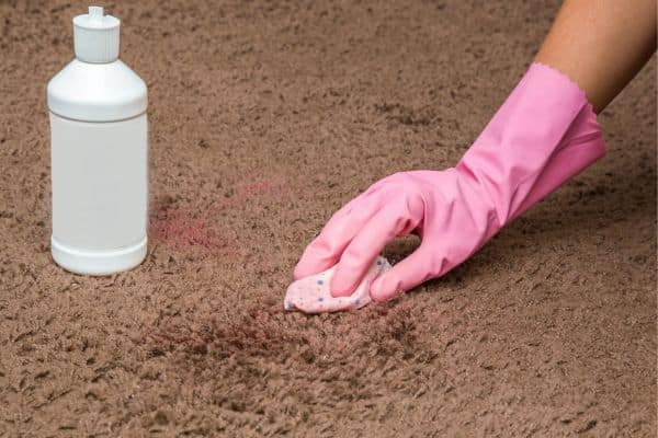 Remove Pet Urine Smell