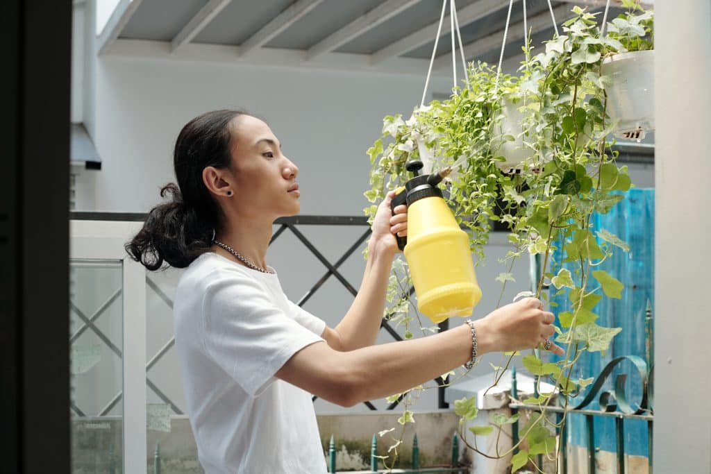 Plants