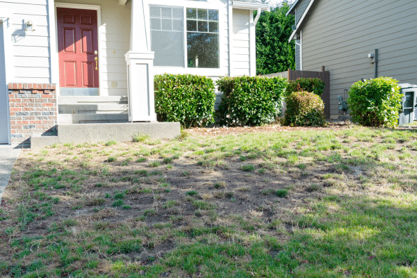 Things That Make A Home Unsellable According To Real Estate Agents