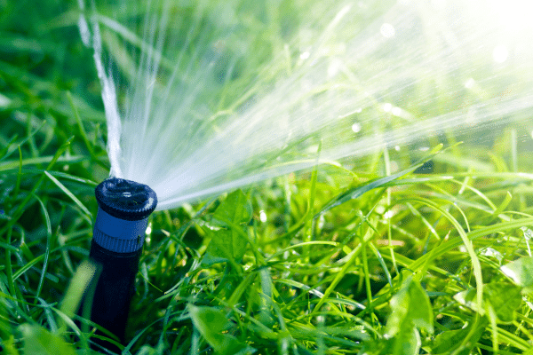 Things You Should Never Do To Your Lawn