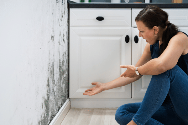 Why Your House Smells After Winter