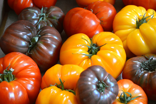 Unique Summer Vegetables For Your Garden