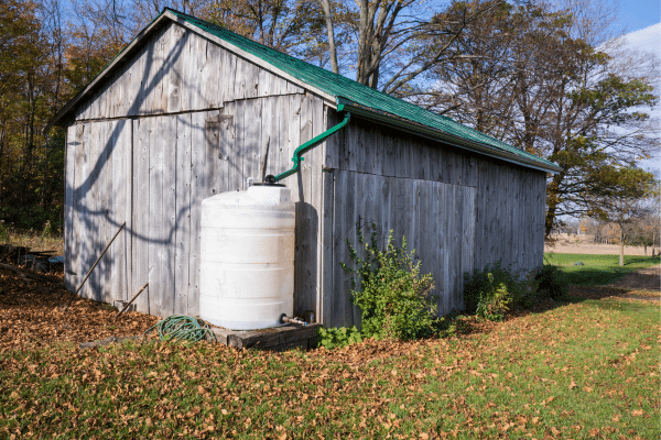 How To Conserve Water This Summer