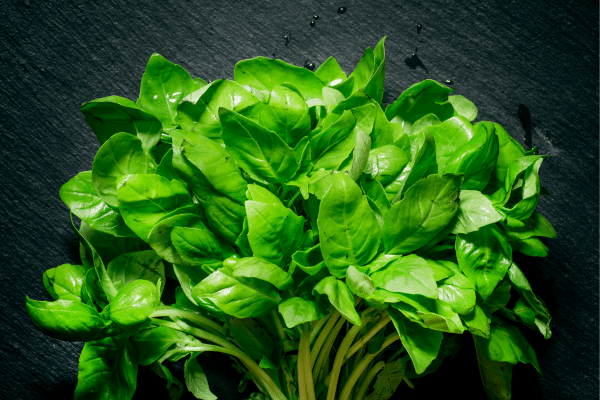 Mistakes You Are Making With Fresh Basil