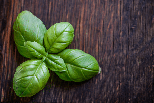 Mistakes You Are Making With Fresh Basil