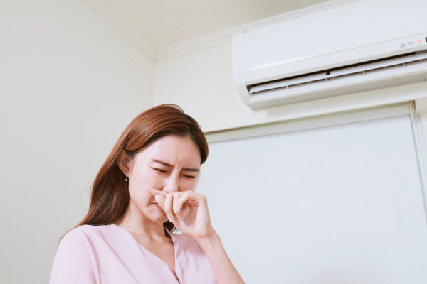 Signs Of Mold