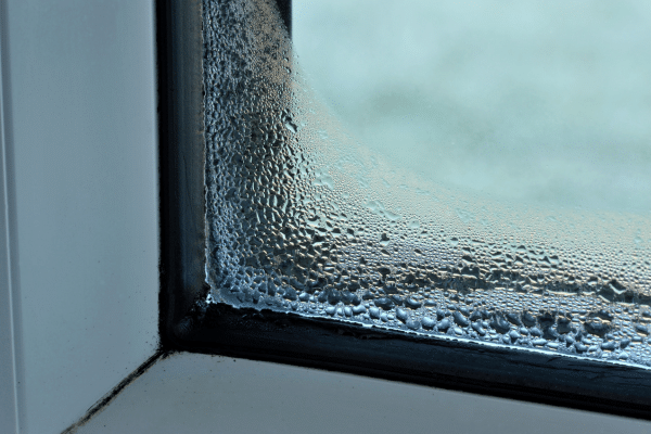 Signs Of Mold