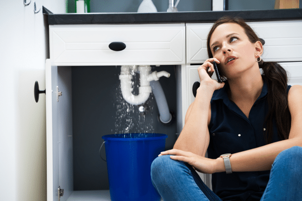 Signs Of Mold