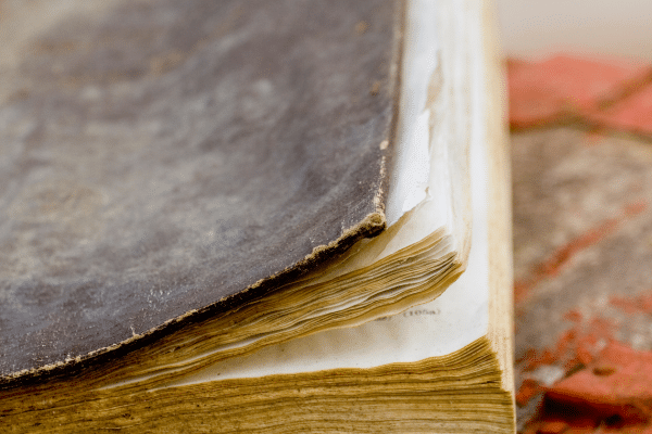 Signs Of Mold