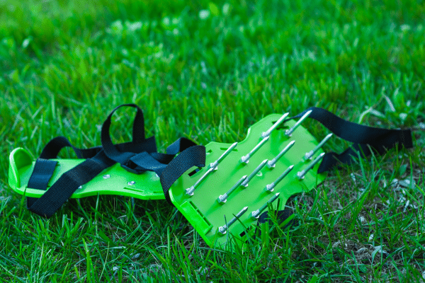 Best Ways To Recover Dead Grass