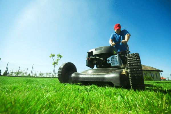 Best Ways To Recover Dead Grass