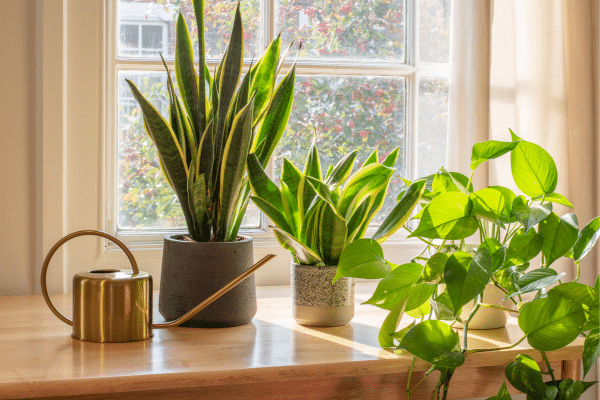 How To Make Your Home Smell Clean