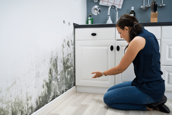 What To Do About A Kitchen Flood