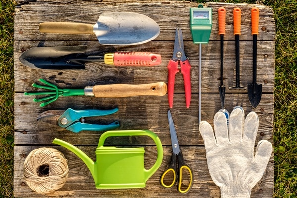 Winterizing Your Garden