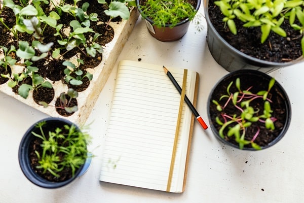 Winterizing Your Garden