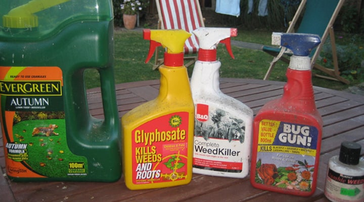 Everyday Garden Items That Are Hazardous to Kids