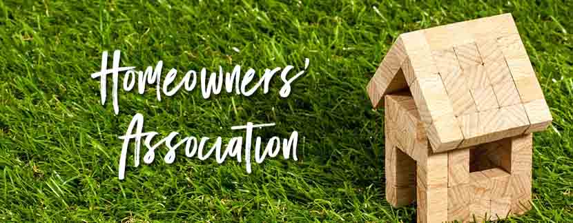 Is It Time to Give Up on Traditional Lawns for Good?