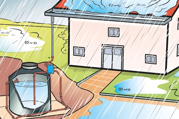 How To Implement Rainwater Harvesting Systems at Home