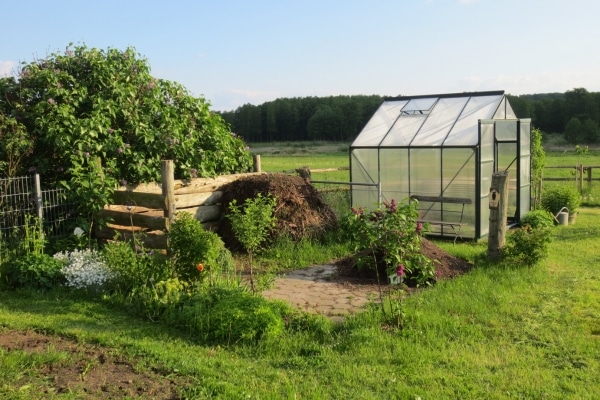 How to Build a Greenhouse on a Budget
