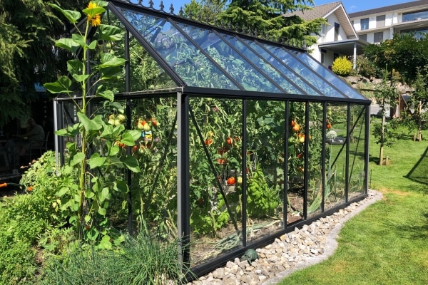 How to Build a Greenhouse on a Budget