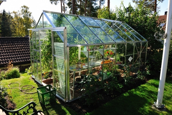 How to Build a Greenhouse on a Budget