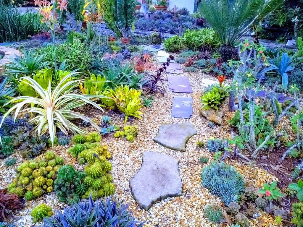 Is It Time to Give Up on Traditional Lawns for Good?