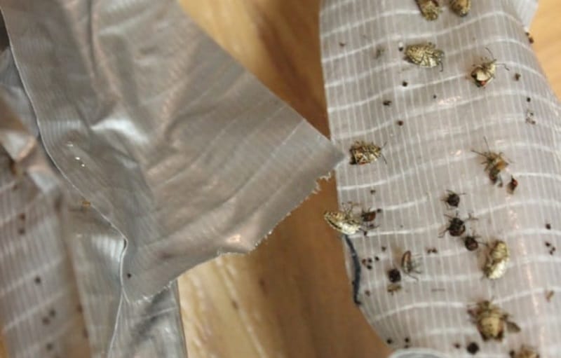 Unique Uses From Duct Tape Around Your Home