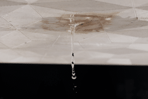 The Everyday Habit That’s Slowly Destroying Your Home - Home Guide Guru